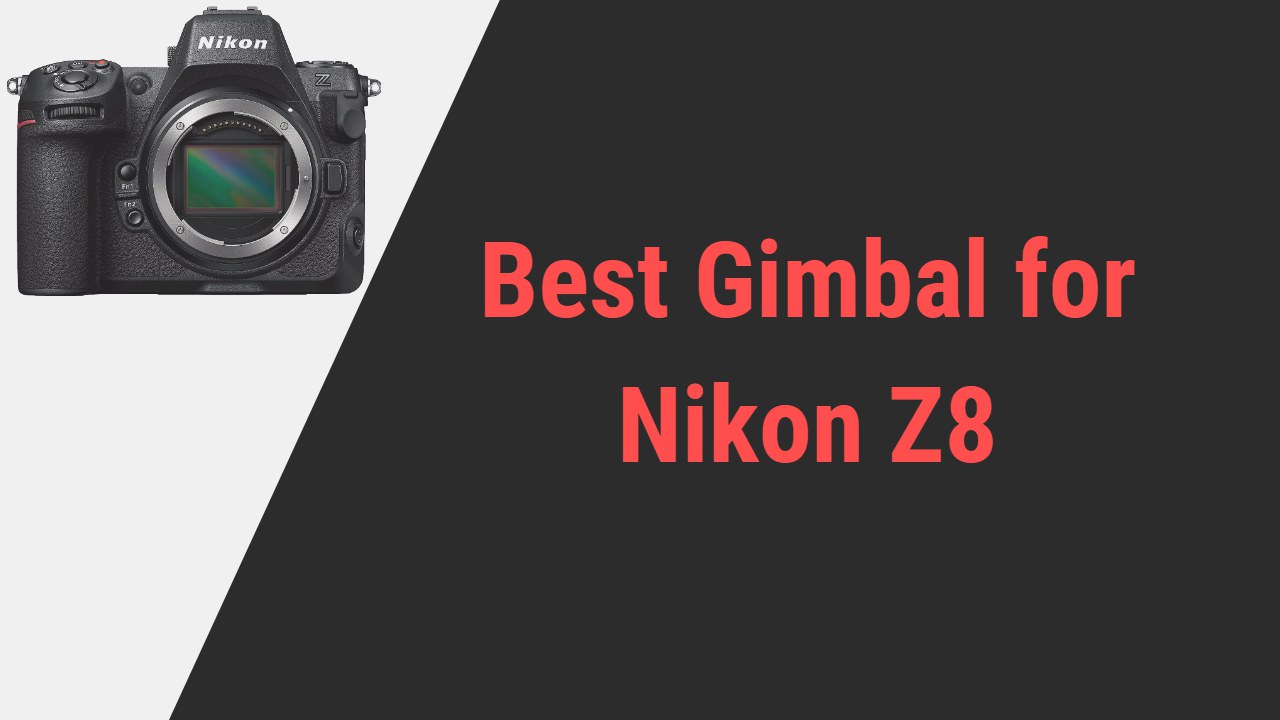Best Gimbal for Nikon Z8
