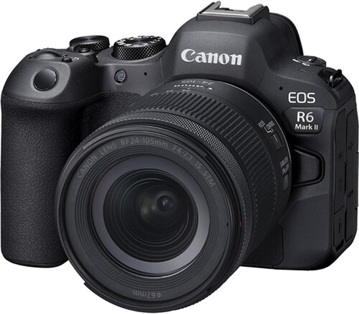 Canon EOS R6 Mark II Camera